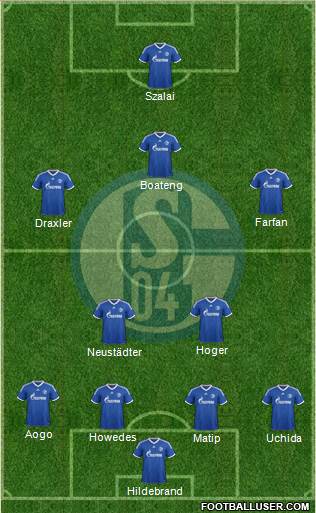 FC Schalke 04 Formation 2013