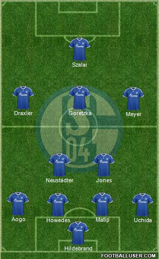 FC Schalke 04 Formation 2013