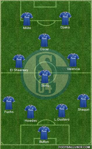 FC Schalke 04 Formation 2013