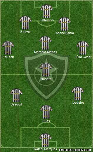 Botafogo FR Formation 2013