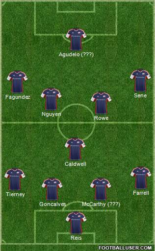 New England Revolution Formation 2013