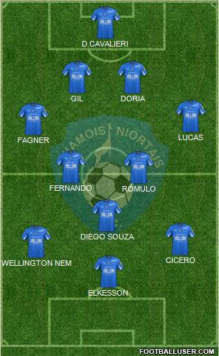 Chamois Niortais Football Club Formation 2013