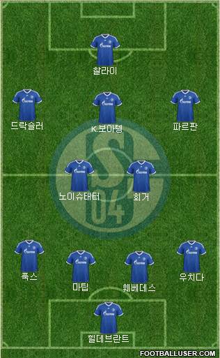 FC Schalke 04 Formation 2013