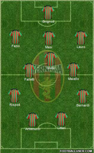 Ternana Formation 2013