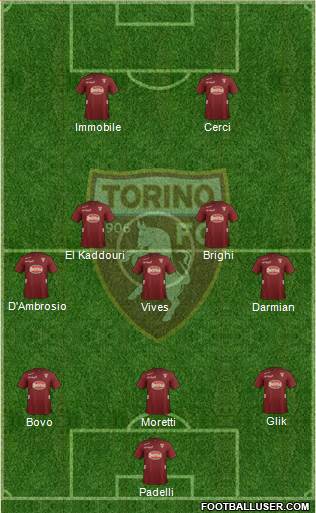 Torino Formation 2013