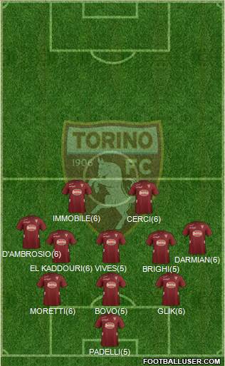 Torino Formation 2013