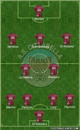 Cittadella Formation 2013