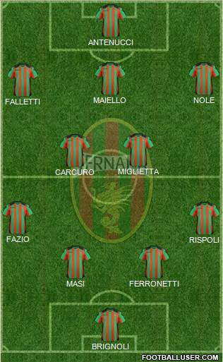 Ternana Formation 2013