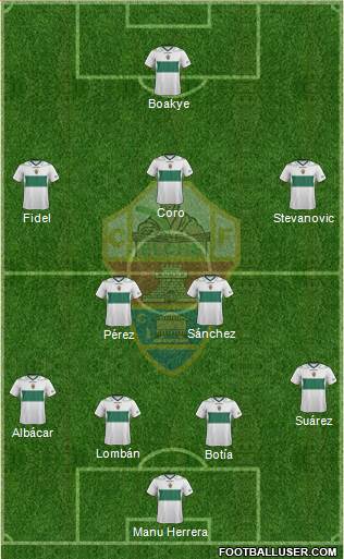 Elche C.F., S.A.D. Formation 2013