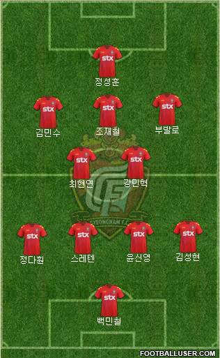 Gyeongnam FC Formation 2013