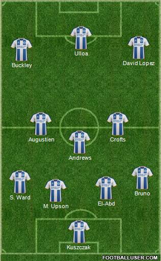 Brighton and Hove Albion Formation 2013