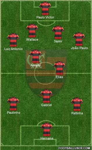 CR Flamengo Formation 2013