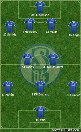 FC Schalke 04 Formation 2013