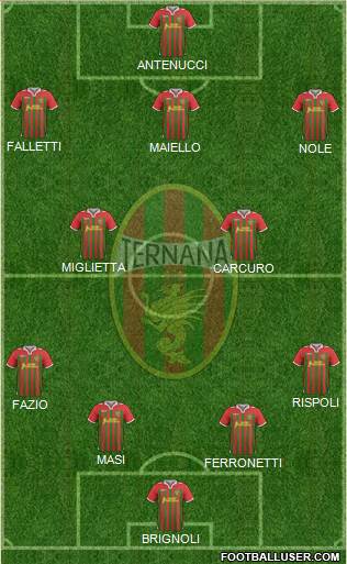 Ternana Formation 2013