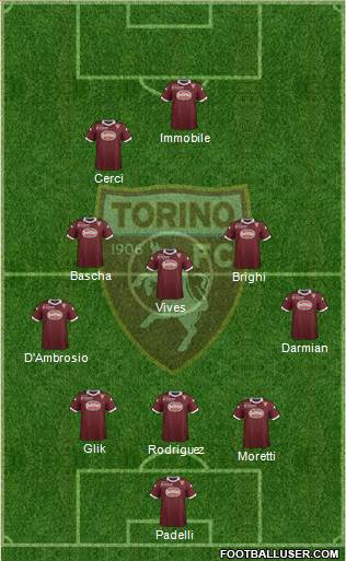 Torino Formation 2013