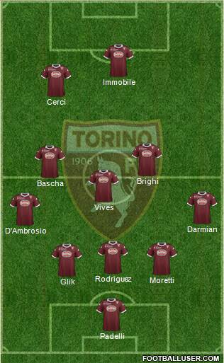 Torino Formation 2013