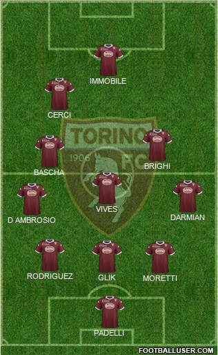 Torino Formation 2013