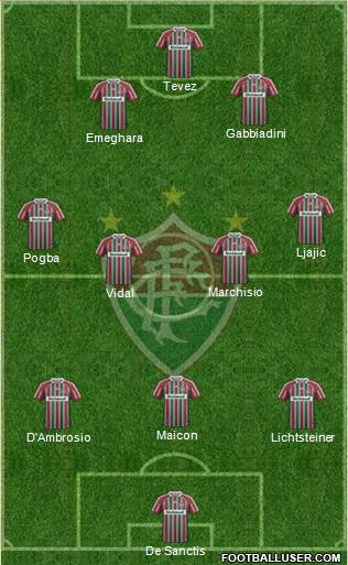 Fluminense FC Formation 2013