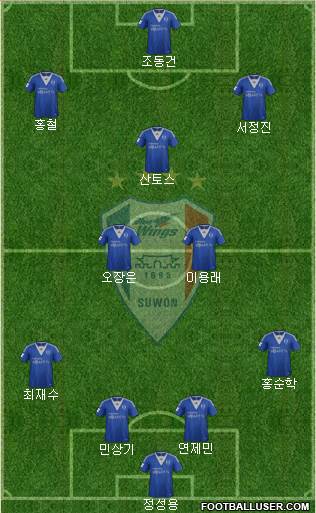 Suwon Samsung Blue Wings Formation 2013