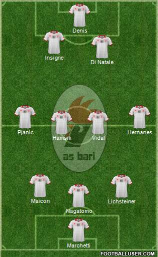 Bari Formation 2013