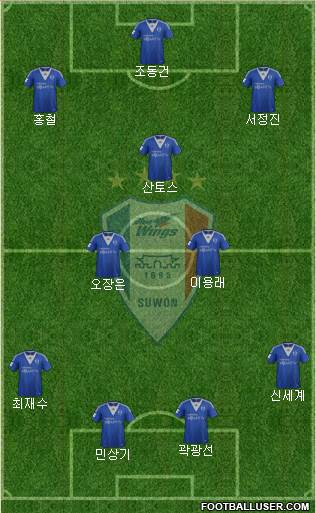 Suwon Samsung Blue Wings Formation 2013