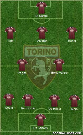 Torino Formation 2013