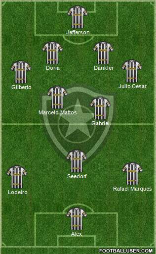 Botafogo FR Formation 2013