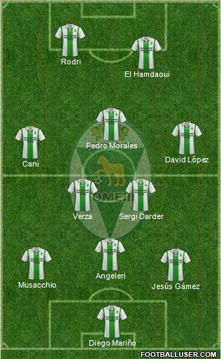 FC Gomel Formation 2013