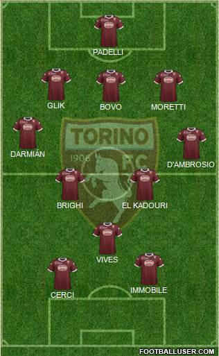 Torino Formation 2013