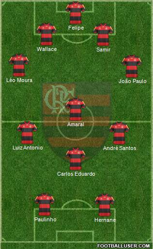 CR Flamengo Formation 2013