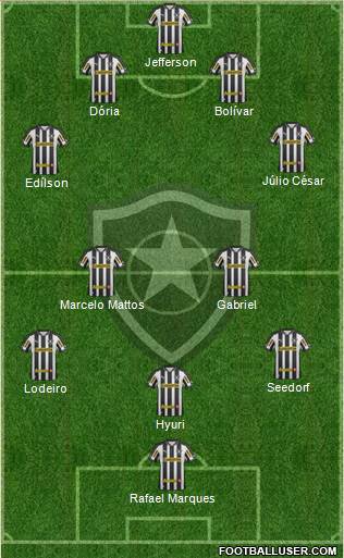 Botafogo FR Formation 2013