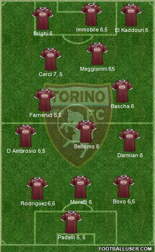 Torino Formation 2013