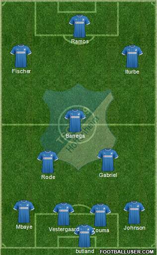 TSG 1899 Hoffenheim Formation 2013