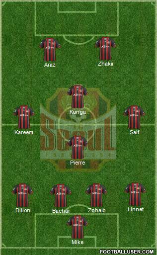 FC Seoul Formation 2013