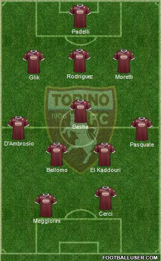 Torino Formation 2013