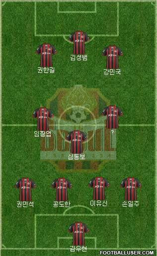 FC Seoul Formation 2013