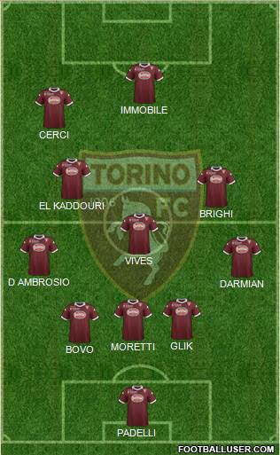 Torino Formation 2013