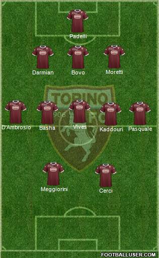 Torino Formation 2013