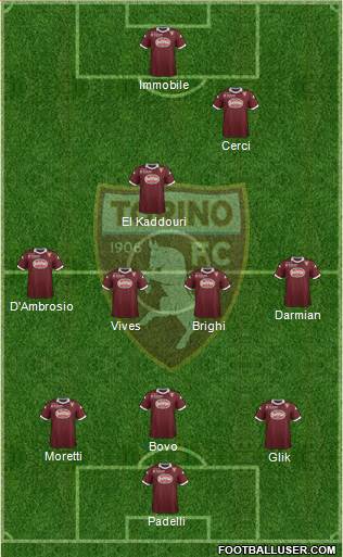 Torino Formation 2013