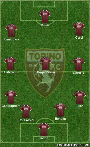 Torino Formation 2013