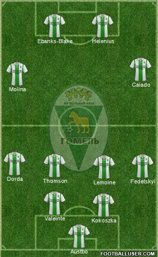 FC Gomel Formation 2013