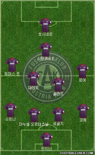 FK Austria Wien Formation 2013