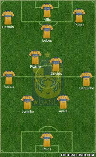 Club Universitario de Nuevo León Formation 2013