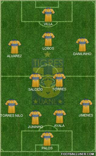 Club Universitario de Nuevo León Formation 2013