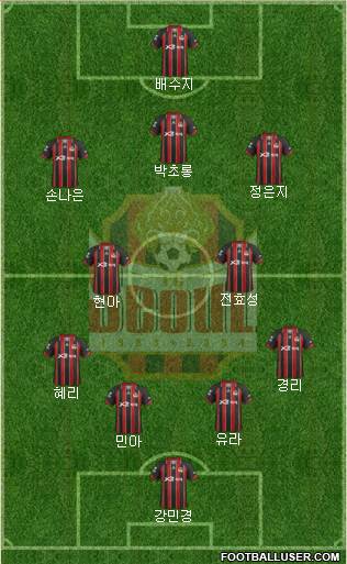 FC Seoul Formation 2013