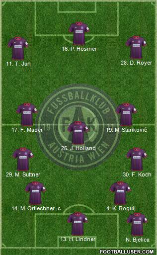 FK Austria Wien Formation 2013