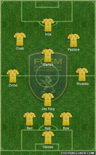 FC Sochaux-Montbéliard Formation 2013