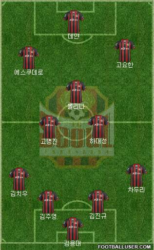 FC Seoul Formation 2013