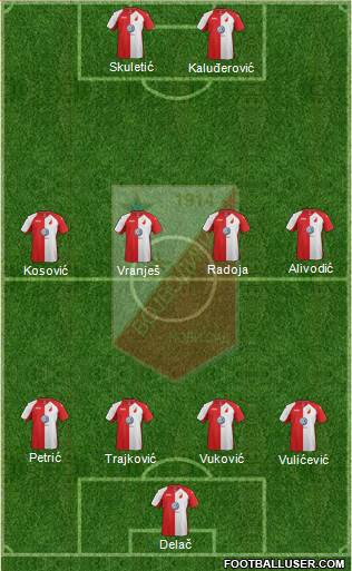 FK Vojvodina Novi Sad Formation 2013