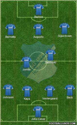 TSG 1899 Hoffenheim Formation 2013